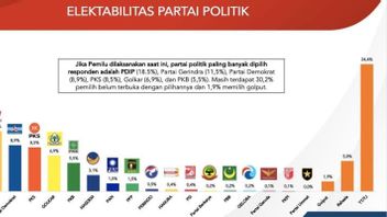 Bisa Menggiring Opini Publik, Rakyat Diminta Obyektif Melihat Hasil Survei