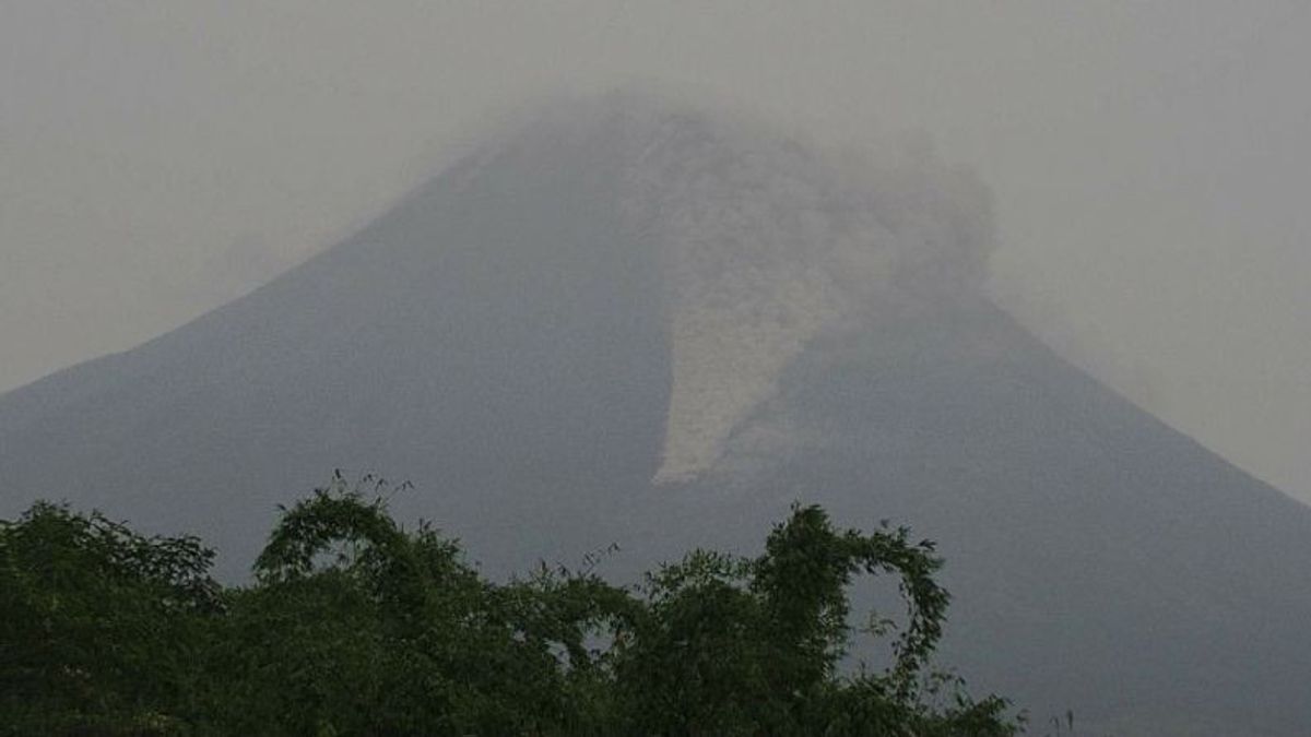 默拉皮火山推出3次热云飘落