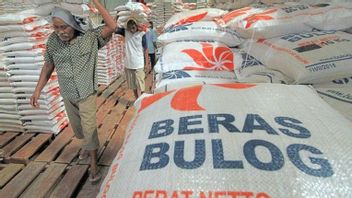 Bulogはインドネシア全土の地元の農家から500,000トンの米を吸収します