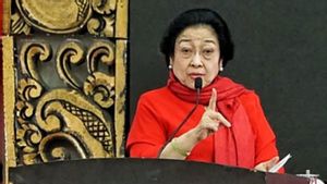  PDIP Beri Dukungan Penuh Atas Pelantikan Megawati Jadi Ketua Dewan Pengarah BRIN