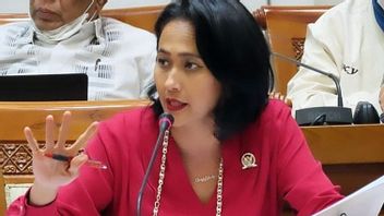 Anggota DPR Mengutuk Keras Pembunuhan Aktivis Perempuan Papua oleh KKB: Semakin Mengerikan!