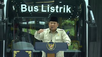 プラボウ:インドネシアは暗くない、来年は驚きに満ちています