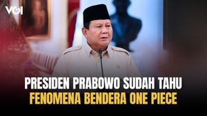 Sudah Tahu Heboh Bendera One Piece, Bagaimana Reaksi Presiden Prabowo?