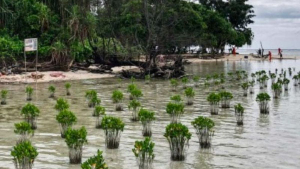 La plainte de 4 pêcheurs de l'île de Pari pour le climat a été acceptée par la justice suisse