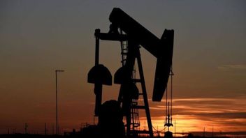 Oil Soars 7.0 Percent, Ukraine Conflict Erases Iran Supply Hopes
