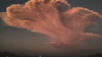 イーストフローレスは、男性のレウォトビ噴火による砂と砂利の雨に洗われました