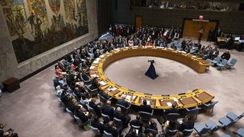 国連安全保障理事会は、平和委員会の会議を延期した、権限の境界は無視されたか?