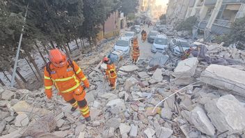 The INASAR Team Finds 4 Bodies Of Turkish Earthquake Victims Covered In BUILDINGs
