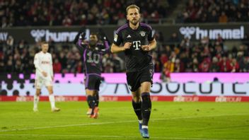 哈里·凯恩打破进球纪录,拜仁慕尼黑登上积分榜