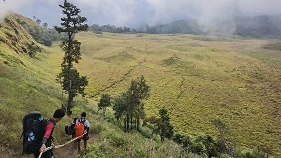 Pendakian Gunung Rinjani Dibuka 22 Agustus, Kuotanya Terbatas