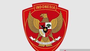 The Ministry Of Law And Human Rights Calls The National Team Logo Registered By PSSI Still A Technical Service Stage Not Yet Having Legal Protection