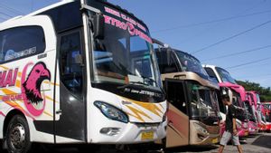 Kemenhub: Swasta Ogah Layani Bus Perintis karena Untungnya Kecil