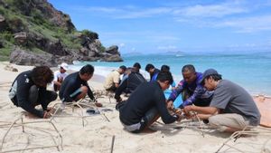 Pelaku Wisata Rusak Terumbu Karang di Labuan Bajo Jalankan Sanksi