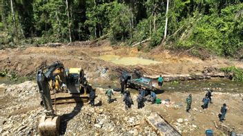 Forest Damaged, Lives Skyrocket: Ministry Of Transportation Illegal Gold Mining In Parigi Moutong, Central Sulawesi