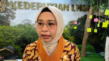 Authority: Natural Forest Areas In IKN Only 1-2 Percent