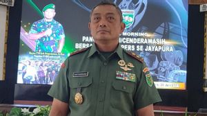Pangdam Cenderawasih: Tidak Ada Operasi Militer di Wilayah Kodam XVII