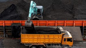 Hauling Road Terhubung, RMKE Angkut 268.000 Ton Batu Bara