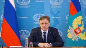 Diplomat Moskow Sebut Ukraina Meningkatkan Serangan ke Wilayah Rusia Usai KTT Alaska