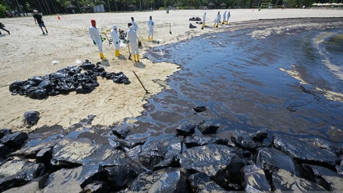 Singapore Handles Oil Spill Incident in Coastal Area