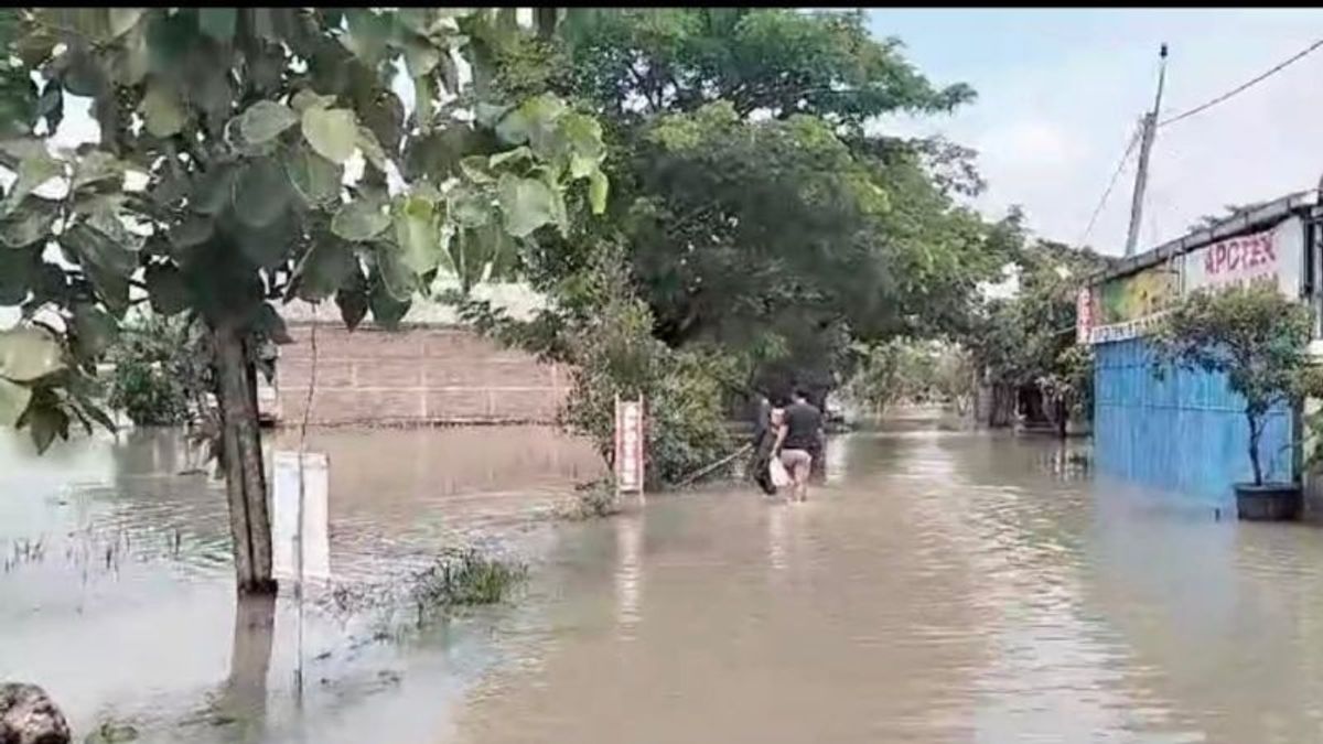 538公顷的农民稻田被洪水淹没,原因是Bengawan Solo河的溢出