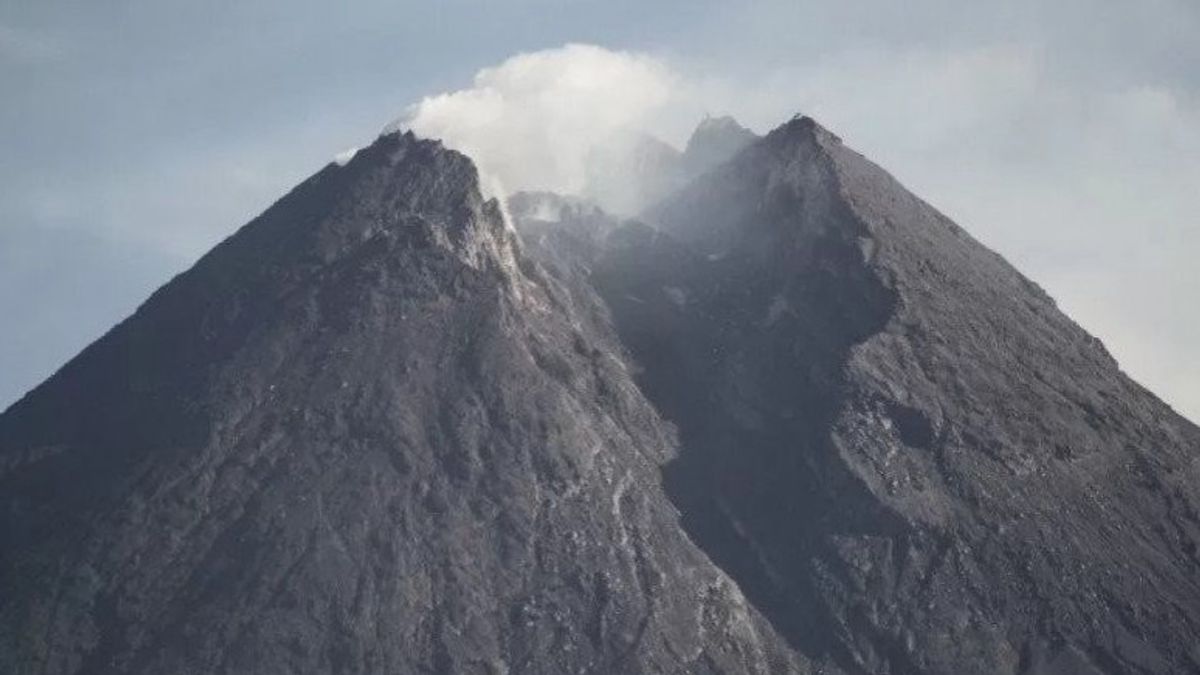 Un Total De 91 Fois Le Tremblement De Terre Est Tombé Sur Le Mont Merapi