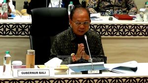 Rapat Bareng DPR, Gubernur Koster Ngadu soal Mandeknya Pembangunan Tol Gilimanuk–Mengwi