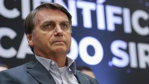 Presiden Brazil Bolsonaro Sebut Hakim Agung "Anak Pelacur"