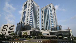 Kementerian Keuangan Umumkan Alih Tugas Masyita Crystallin ke Danantara Investment Management