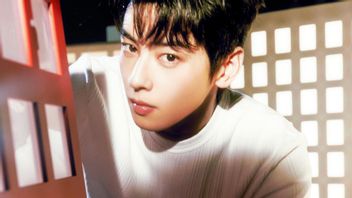 Cha Eun Woo s'exprime, l'agence demande au public de ne pas supposer un cas d'impôt