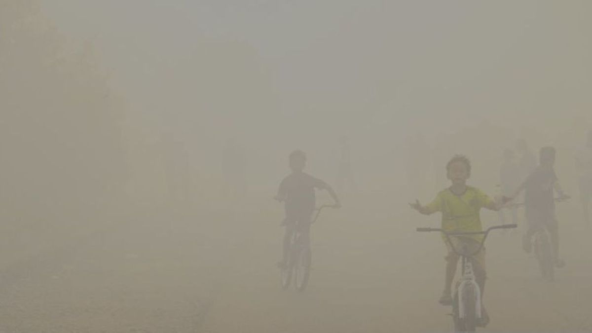 Karhutla Expands, Air Quality In Pontianak Is Getting Worse