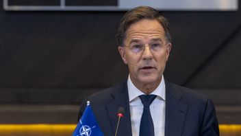 NATO Secretary General Rutte Asks Bosnian Leaders To 'Responsibility' Amid Crisis