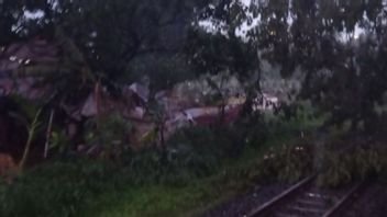 Fallen Tree Eliminated, Train Line In Kebayoran Lama Again Can Be Crossed