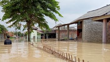 2 الأنهار في فيضان Telukjambe الغربي ، غمرت المياه عشرات المنازل في Karawang