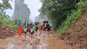 Buried By Landslides, Access To Bengkulu-Sumsel Road Is Completely Cut Off