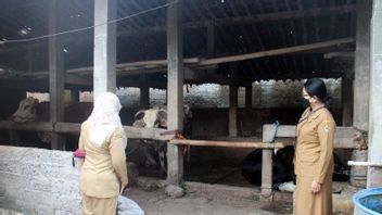 Boyolali Regency Government Sprays Disinfectant In Animal Markets To Anticipate PMK