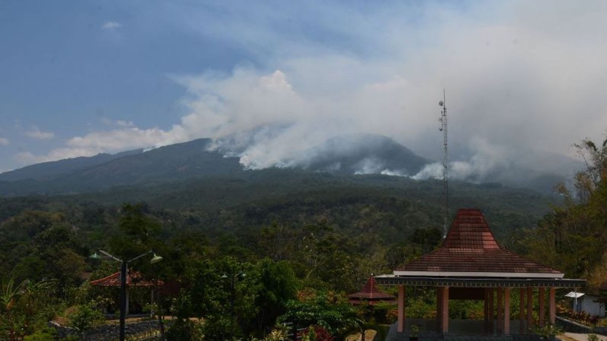 BPBD East Java Urges Central Java To Beware Of Mount Lawu Forest And Land Fires That Continue To Expand
