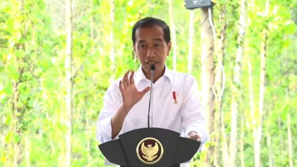 Jokowi Mengaku Investor Lokal Berbondong-bondong Investasi di IKN