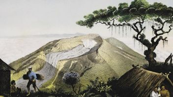 صعود الطبيعة إلى جبل جيدي بانغرانغو: بداية القرن الماضي
