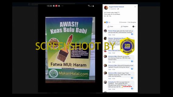 Poster 'Watch Out !! Boar Bristle Brush, MUI Fatwa: Haram ', These Are The Facts