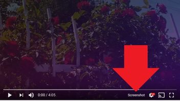 Ini Cara Mengambil Screenshot Berkualitas Tinggi dari Video YouTube di Mac