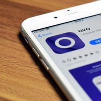 Survei: UMKM Merasa Terbantu saat Bergabung di Platform Pembayaran Digital OVO Milik Konglomerat Mochtar Riady