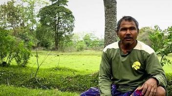 世界树日：森林创造者贾达夫·帕扬的例证