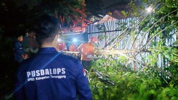 强风 兰达 特曼贡的2个分区，房屋受损，树木被连根拔起