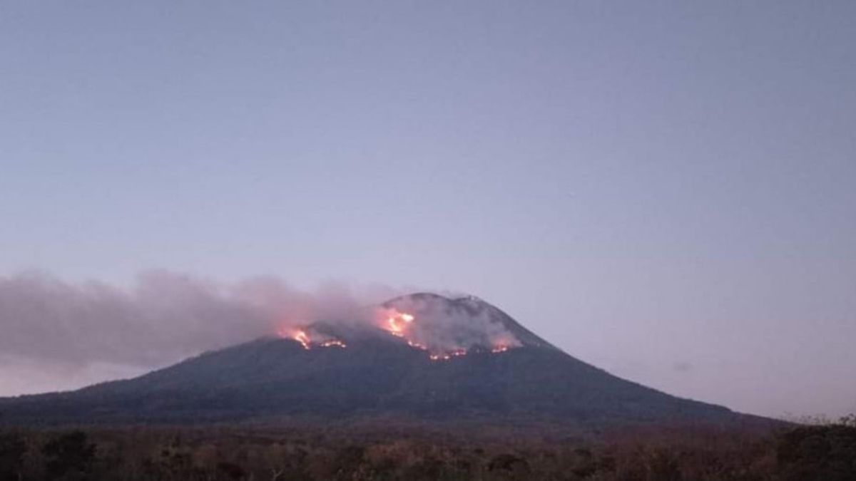 جبل إيلي ليوتولوك NTT ثوران يسبب حرائق الغابات