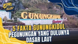Fakta Gunung Kidul yang dulunya Adalah Dasar Laut