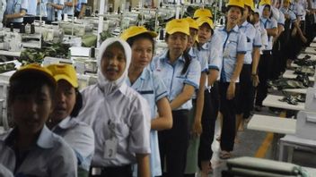 Pencari Kerja di Jayapura Tercatat 10.055 Orang, Paling Banyak Lulusan SMA
