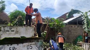 Muncul Angin Puting Beliung di Situbondo, Ratusan Rumah Warga Rusak