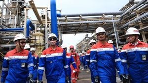 Pertamina Mau Replikasi Energi Hijau ke Kilang Balongan dan Dumai