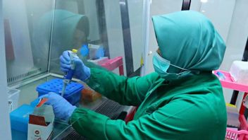 Riau Provincial Government Finds 208 Probable Omicron Cases