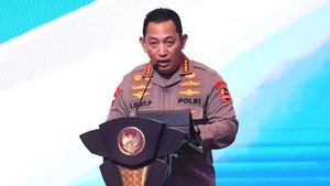 Pembebasan Kapten Philip Mark Mehrtens dari KKB, Kapolri Apresiasi TNI-Polri